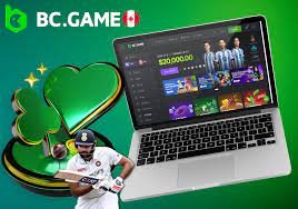 Exploring Bc.G The Future of Online Gaming Exploring Bc.G The Future of Online Gaming
